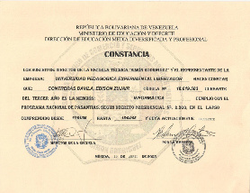 Pasantías